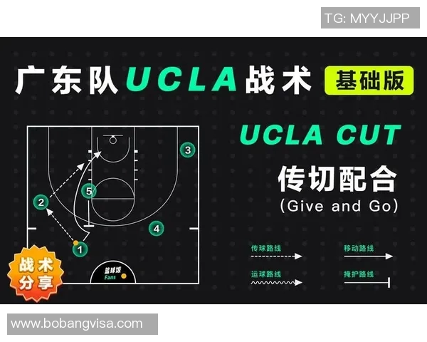 西安篮球队阵地战解析：战术运用与球队发展趋势探讨