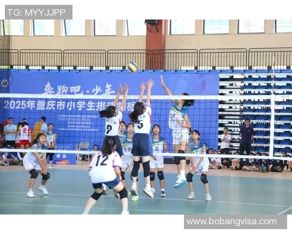 重庆排球队逆袭之路：从默默无闻到世界舞台的辉煌蜕变