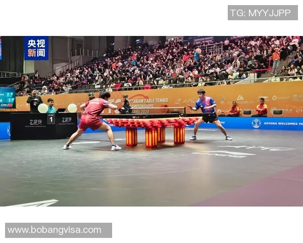 陈强独家分享乒乓球技巧与心得助你提升球技的秘诀与经验