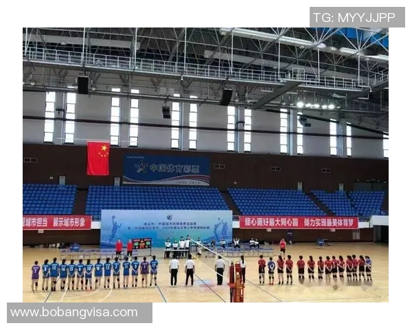 重庆排球队个人能力分析与联赛表现评估