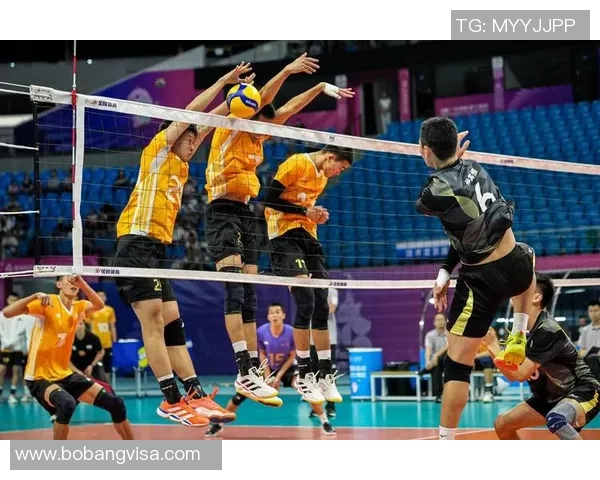 上海排球队进攻策略解析深度剖析排球战术与团队配合技巧