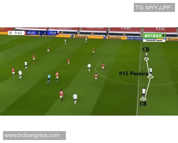 北京排球队战术解析与对比探讨展现球队竞争优势与发展潜力