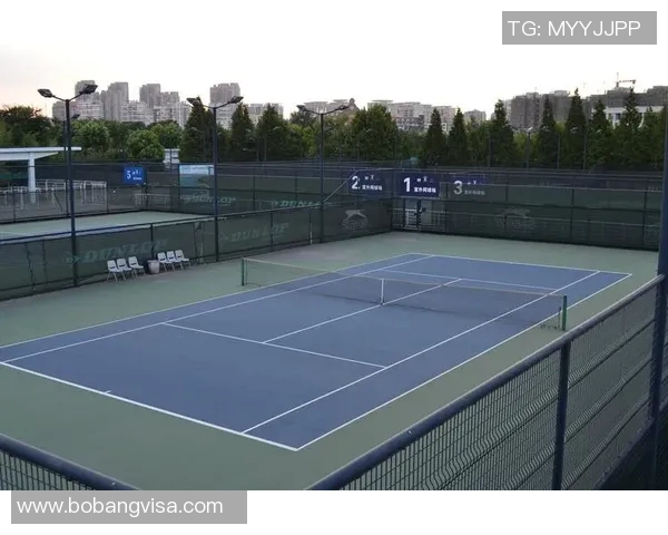 南京网球队实力崛起荣登全国网球技术排行榜第七名