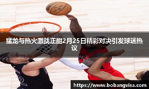 猛龙与热火激战正酣2月25日精彩对决引发球迷热议