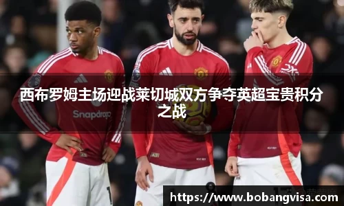 西布罗姆主场迎战莱切城双方争夺英超宝贵积分之战