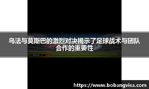 完美体育官网