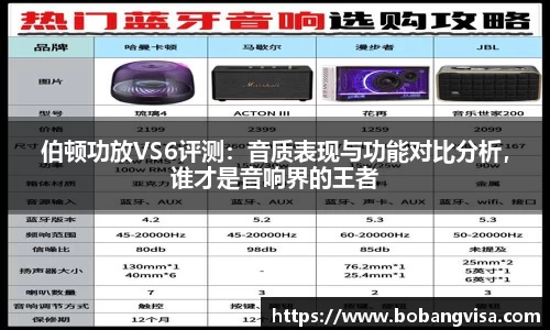 伯顿功放VS6评测：音质表现与功能对比分析，谁才是音响界的王者